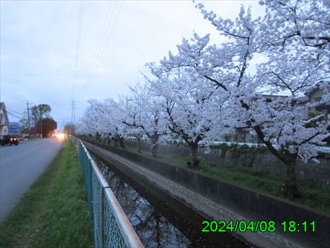 西田利の日記