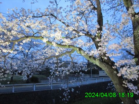 西田利の日記