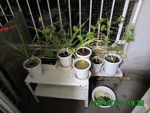 西田利の日記