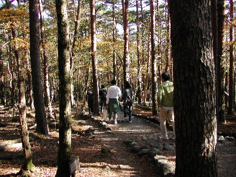 白紫池からえびの高原駐車場へ