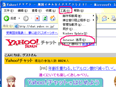 Internetオプション