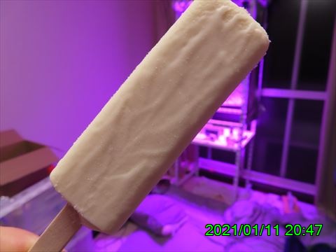 西田利の日記