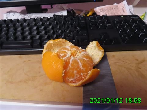 西田利の日記