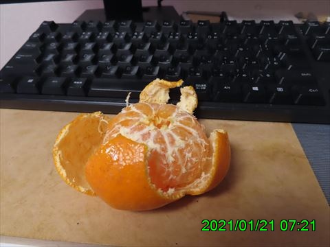 西田利の日記
