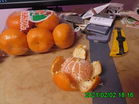 西田利の日記