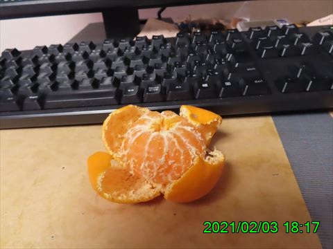 西田利の日記