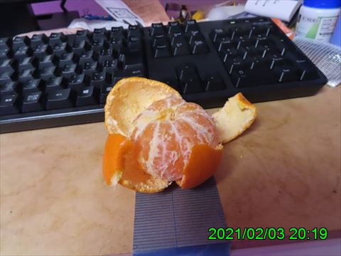 西田利の日記