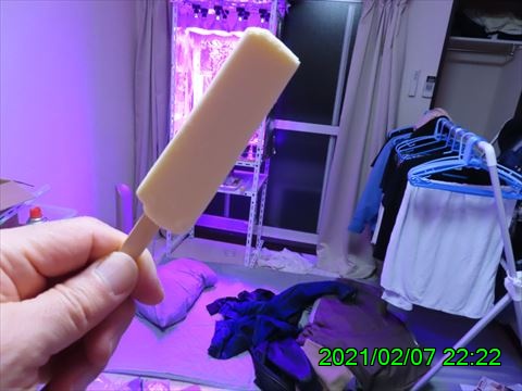 西田利の日記