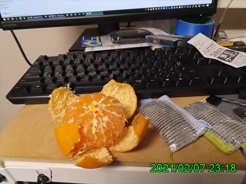 西田利の日記