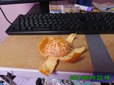西田利の日記
