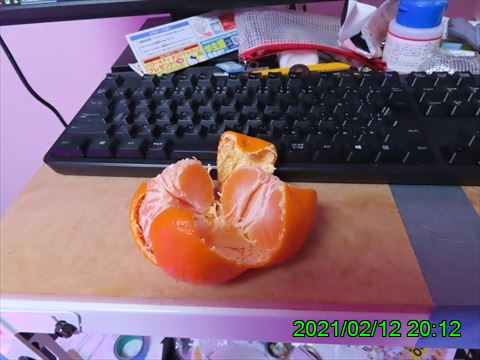 西田利の日記