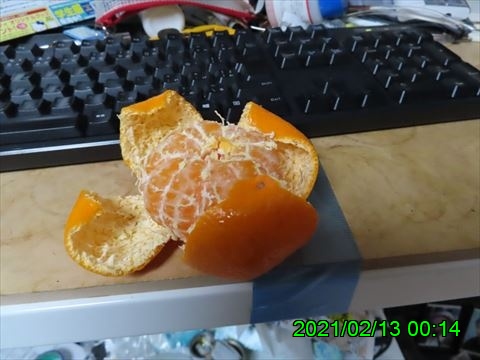 西田利の日記