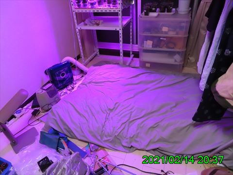 西田利の日記