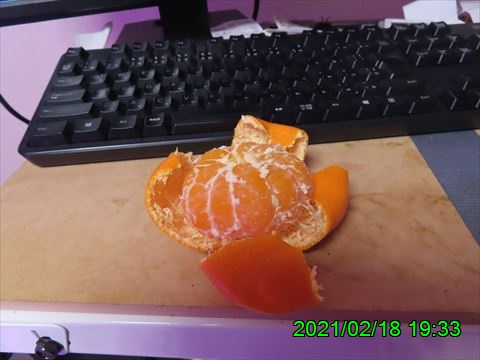 西田利の日記
