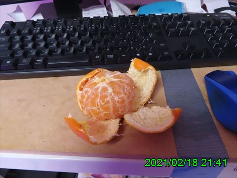 西田利の日記