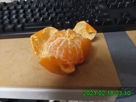西田利の日記