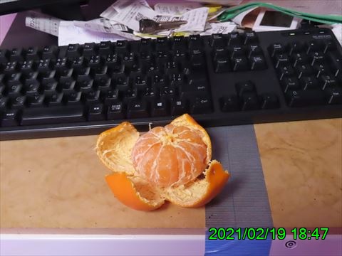 西田利の日記