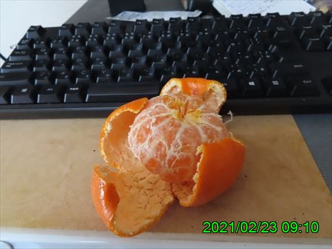 西田利の日記