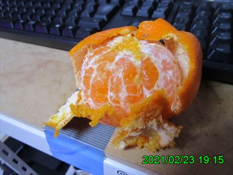西田利の日記