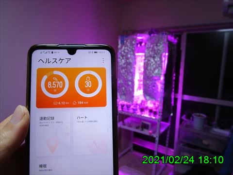 西田利の日記