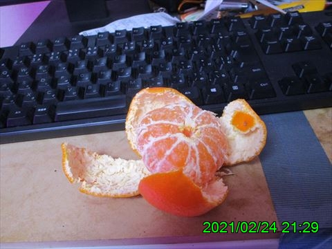 西田利の日記