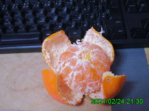 西田利の日記