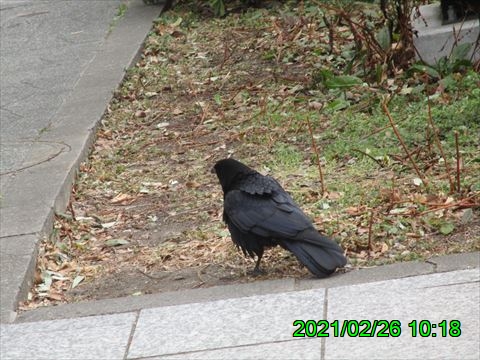 西田利の日記