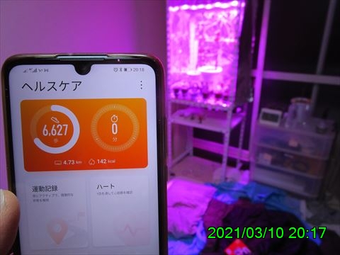 西田利の日記
