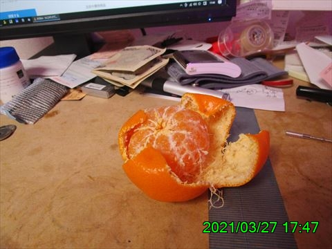 西田利の日記