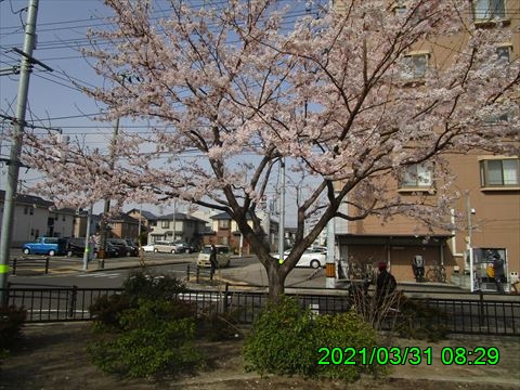 西田利の日記