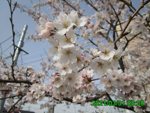 西田利の日記