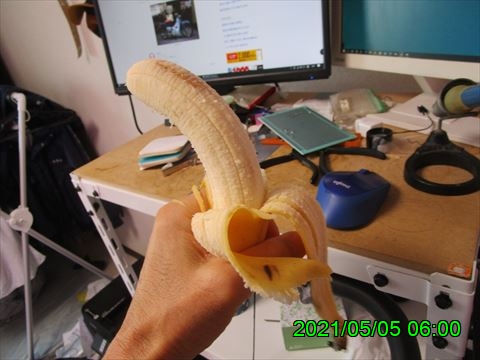 西田利の日記