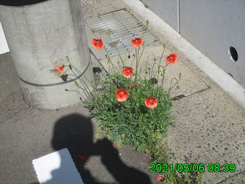 西田利の日記