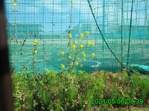 西田利の日記