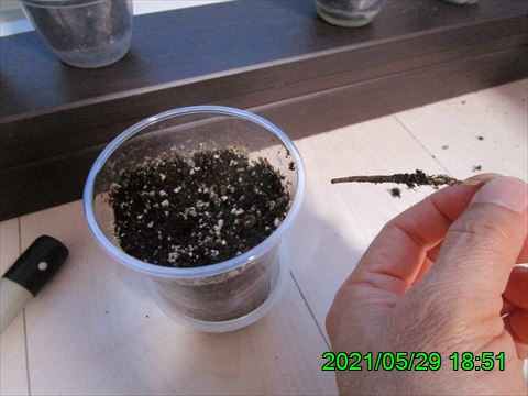 西田利の日記