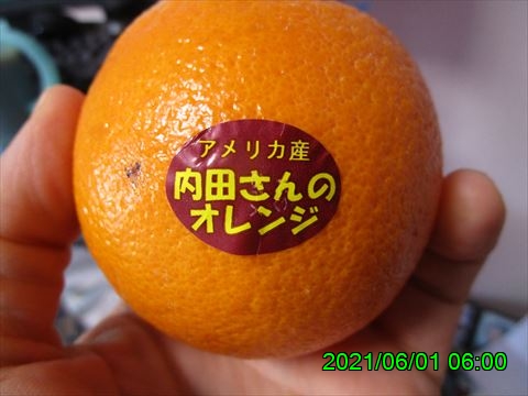 西田利の日記