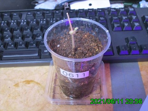 西田利の日記