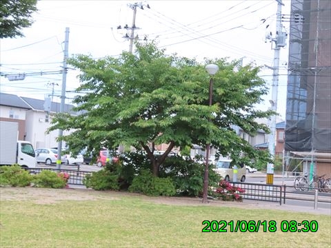 西田利の日記