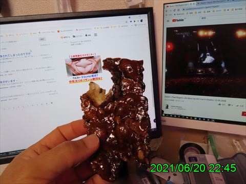 西田利の日記