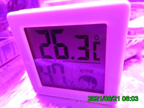 西田利の日記