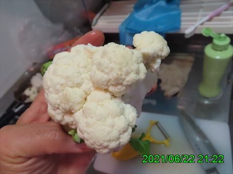 西田利の日記