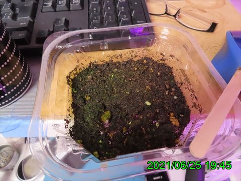 西田利の日記