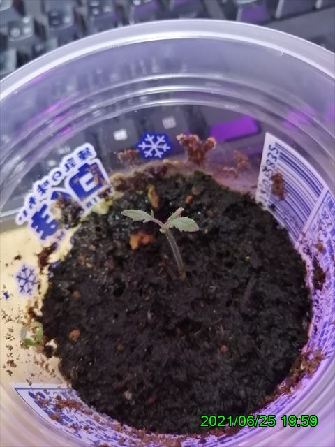 西田利の日記