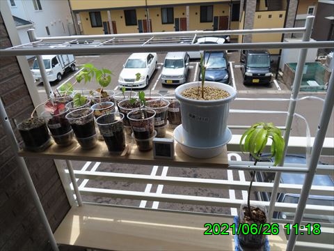 西田利の日記