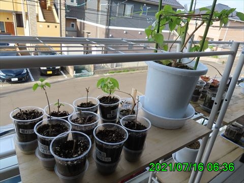 西田利の日記