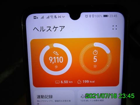西田利の日記