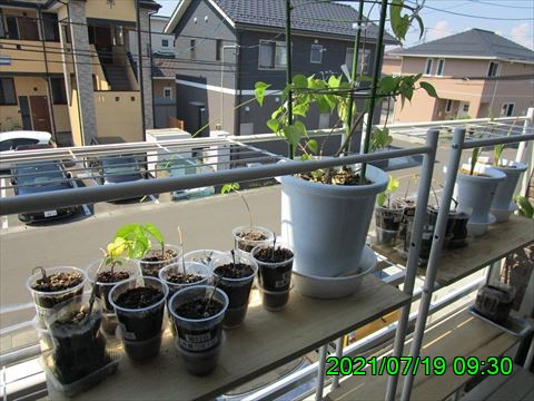 西田利の日記