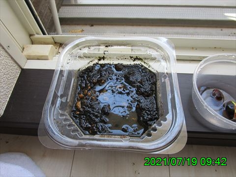 西田利の日記