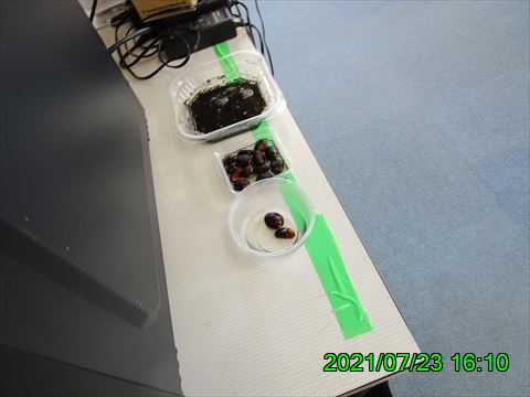 西田利の日記