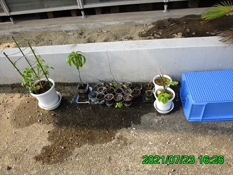 西田利の日記